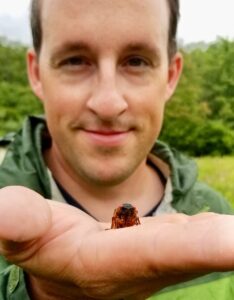 Return of the Zombie Cicadas